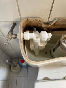 Photo de galerie - Changement chasse d’eau 