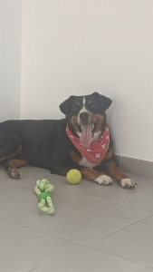 Photo de galerie - Éclair à la maison !