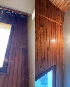 Photo de galerie - J’ai également enlevé toutes les toiles d’araignée afin de rendre le logement plus propre et agréable