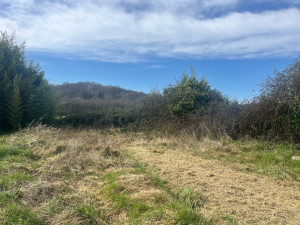 Photo de galerie - Photo avant Prestation