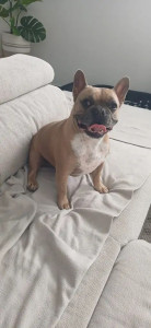 Photo de galerie - Marley - Visite à domicile