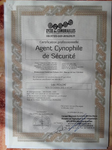 Photo de galerie - Certification professionnelle d'Agent cynophile de sécurité 