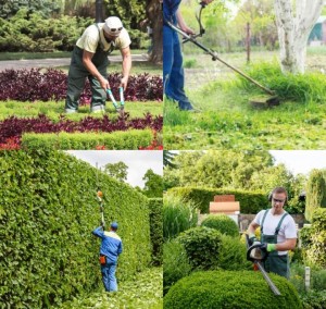 Photo de galerie - Services d'entretiens Espaces Verts à prix imbattables ? 