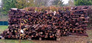 Photo de galerie - Rangement de bois.