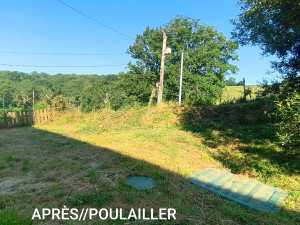 Photo de galerie - Après le débroussaillage et enlèvement d'arbustes 