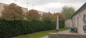 Photo de galerie - Taille de haies 