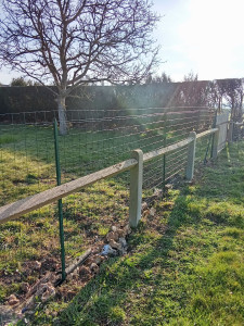 Photo de galerie - Taille de haie 