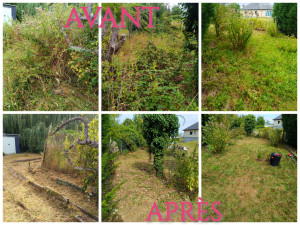 Photo de galerie - Débroussaillage de ronces + tonte d'un petit jardin. ( secteur valenciennes )