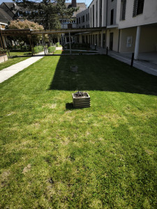 Photo de galerie - Tonte maison de retraite 