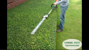 Photo de galerie - Mettre à niveau le dessus d'une haie 

