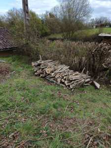 Photo de galerie - Coupe de bois 