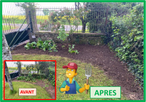 Photo de galerie - Taille de haies et d'arbustes