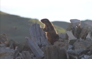 Photo de galerie - Col du mont Cenis 
