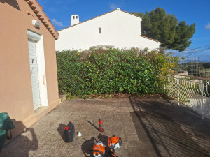 Photo de galerie - Taille de haies et d'arbustes