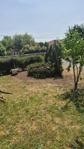 Photo de galerie - Coupe de laurier 