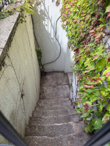 Photo de galerie - Jardinier