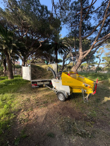 Photo de galerie - évacuation avec broyeur 