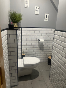 Photo de galerie - Création d’un wc sous escalier