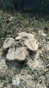 Photo de galerie - Après