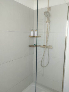 Photo de galerie - Nettoyage des sanitaires 