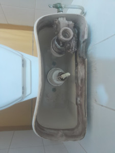 Photo de galerie - Avant 