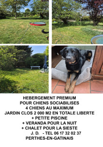 Photo de galerie - Garde chien