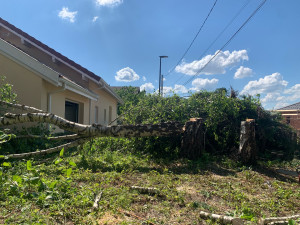 Photo de galerie - Abattage d’un arbre à proximité d’une maison 