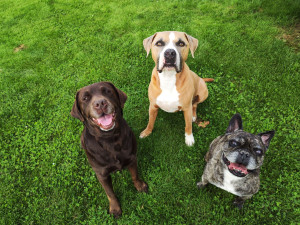 Photo de galerie - Grande tribu