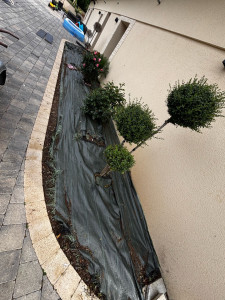 Photo de galerie - Paysagiste - Aménagement du jardin