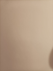 Photo de galerie - Peinture d'un mur en blanc chez un particulier 