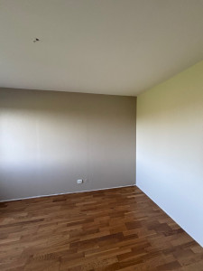 Photo de galerie - Pose d’une fibre lisse et mise en peinture de pan de murs de deux couleurs différentes 