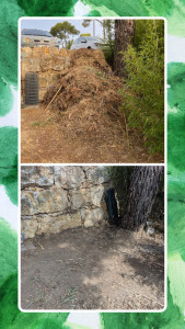 Photo de galerie - Taille de haies et d'arbustes