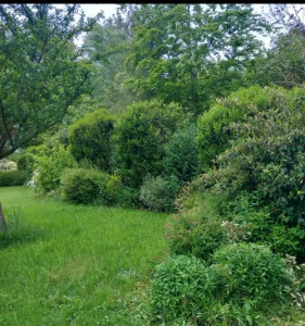 Photo de galerie - Jardinier