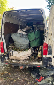 Photo de galerie - évacuation de déchets verts 