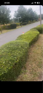 Photo de galerie - Voici la taille que j’ai réalisé