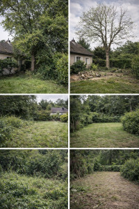 Photo de galerie - Exemple de prestation d’entretien d’espaces verts comprenant élagage, tonte de pelouse et débroussaillage, avec un rendu propre et soigné.