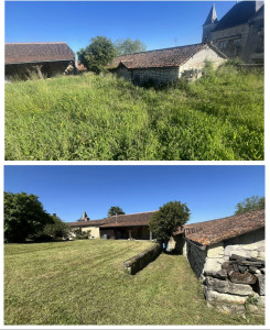 Photo de galerie - Tonte de pelouse - Débroussaillage