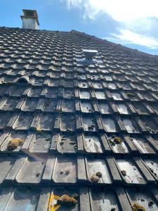 Photo de galerie - Charpente