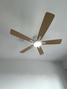 Photo de galerie - Ventilateur (usage domestique)