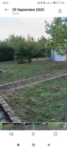 Photo de galerie - Tonte de pelouse - Débroussaillage