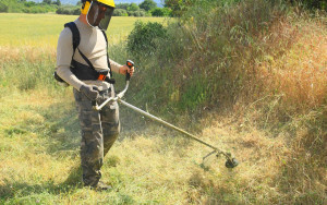 Photo de galerie - Jardinier/Paysagiste  professionnel, je vous propose différents travaux pour votre jardin :
Taille de haie ;
Taille des arbres de fruits ou élagage d'arbre ;
Abattage d'arbre ;
Tonte de pelouse, débroussaillage ;