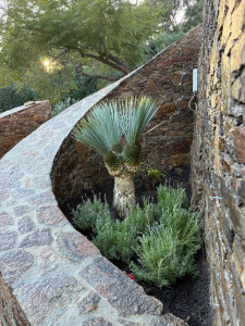Photo de galerie - Paysagiste - Aménagement du jardin