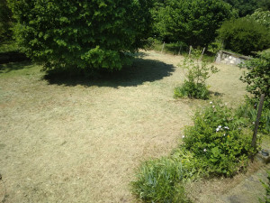 Photo de galerie - Tonte de pelouse - Débroussaillage