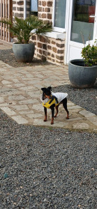 Photo de galerie - Un amour