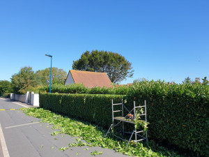 Photo de galerie - Jardin / Espace vert