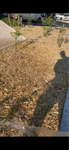 Photo de galerie - Paysagiste - Aménagement du jardin