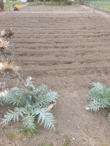 Photo de galerie - Création potager 