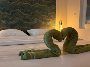 Photo de galerie - Fournes-en-Weppes