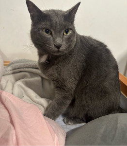 Photo de galerie - Belle