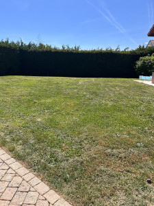 Photo de galerie - Tonte de pelouse 